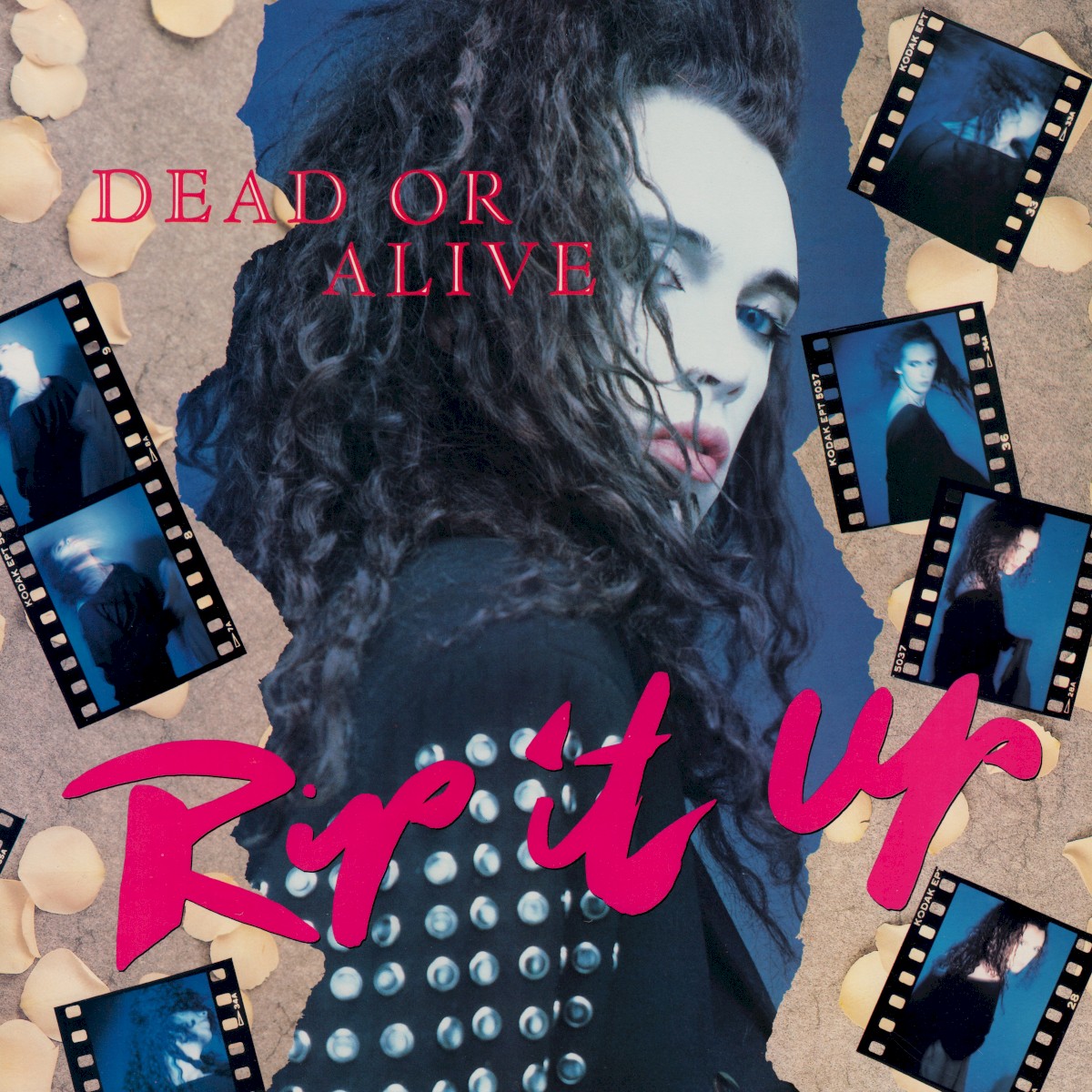 Rip It Up cover