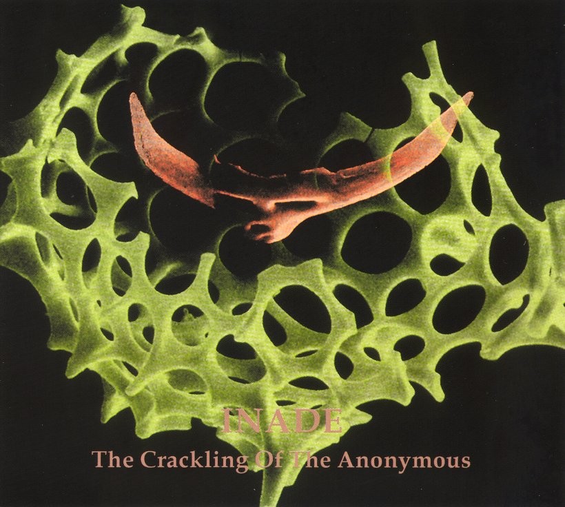The Crackling Of The Anonymous cover