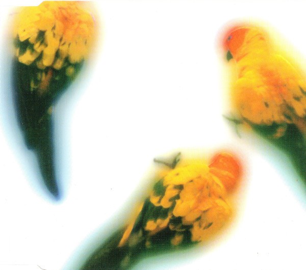 Colour Glow cover
