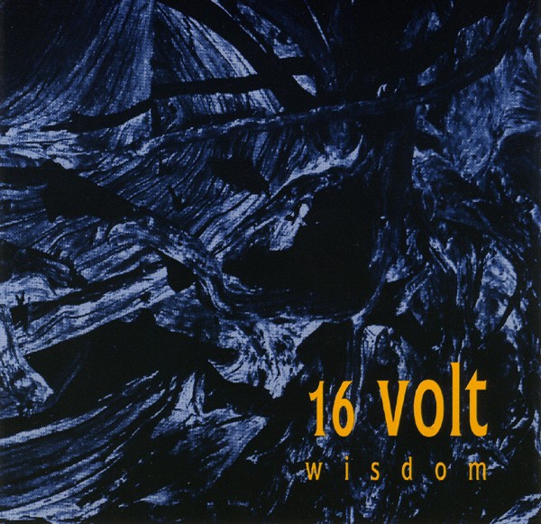 Wisdom cover