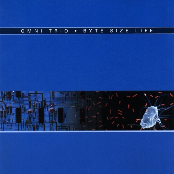 Byte Size Life cover