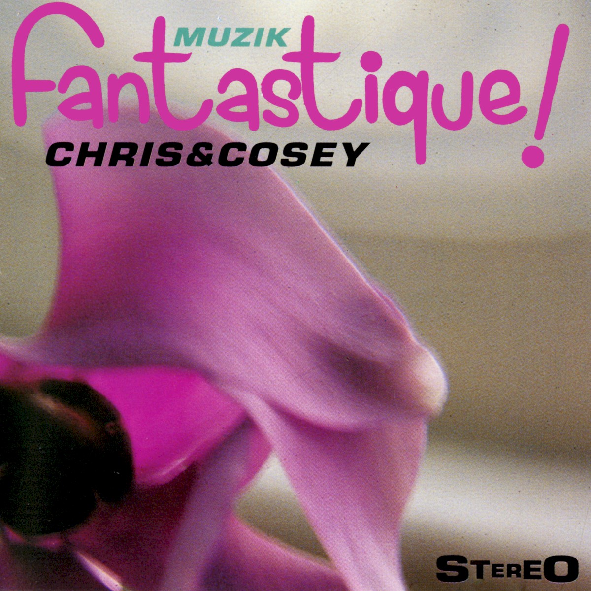 Muzik Fantastique! cover