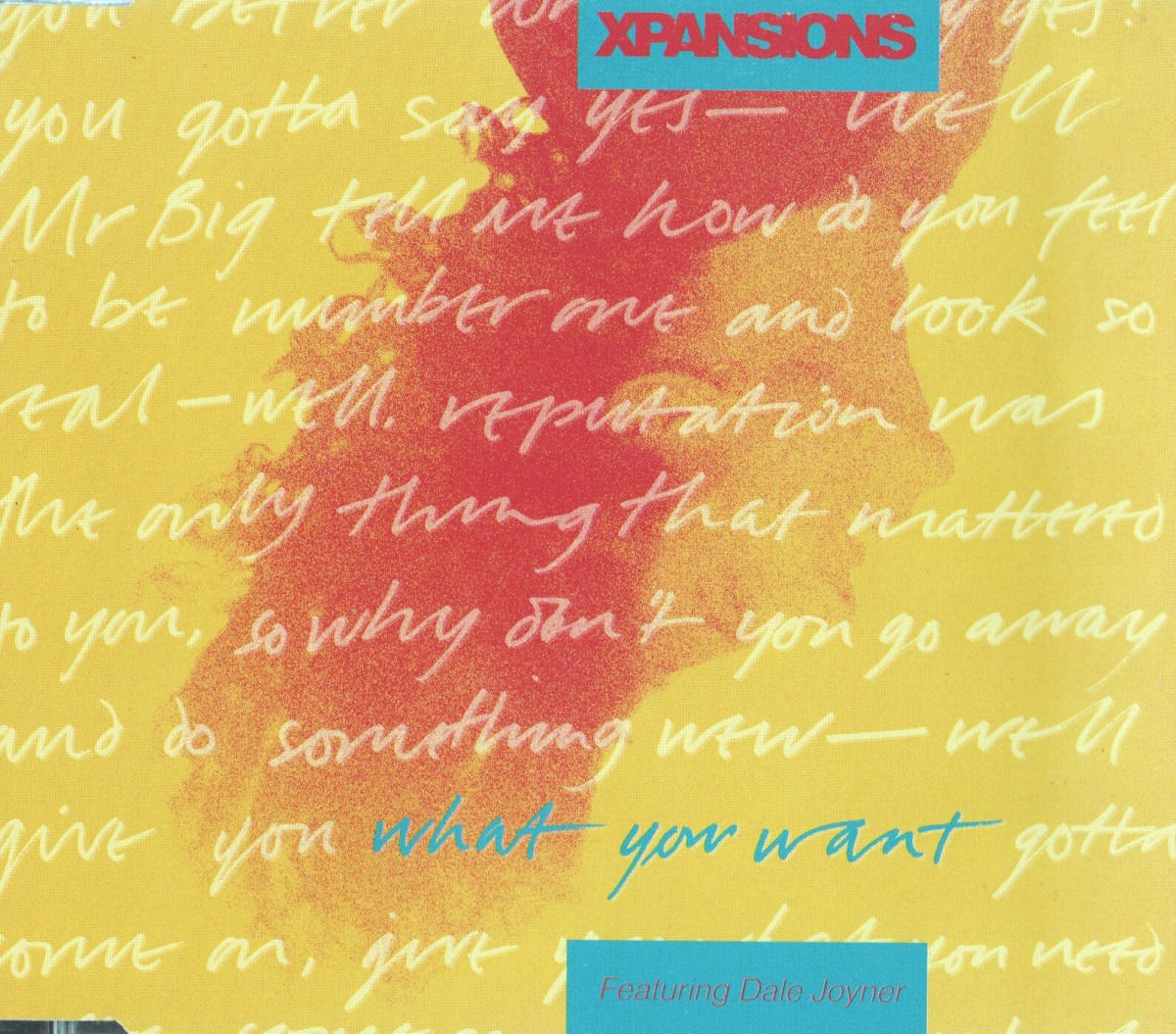 What You Want cover