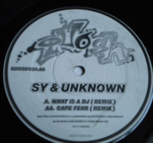 What Is A DJ / Cape Fear (Remixes) cover