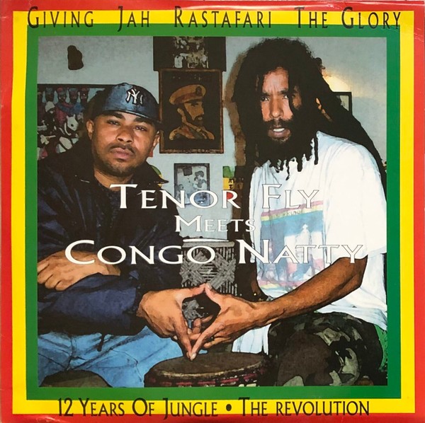 12 Years Of Jungle cover