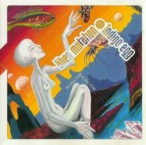 Microcosmacrocosm cover