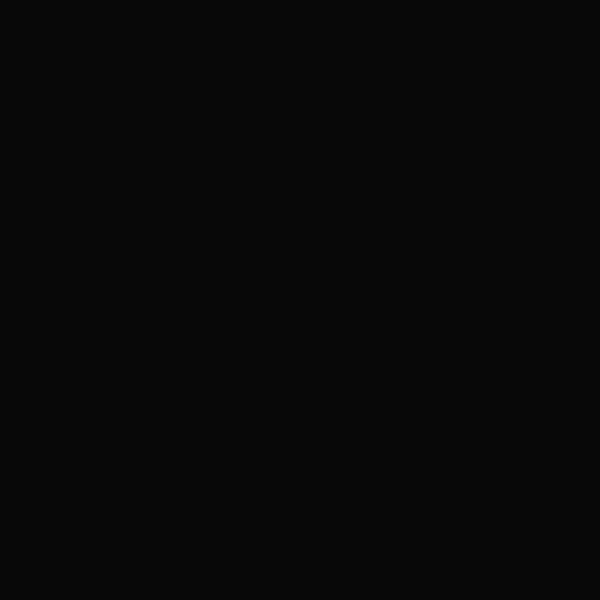 The Black Album cover
