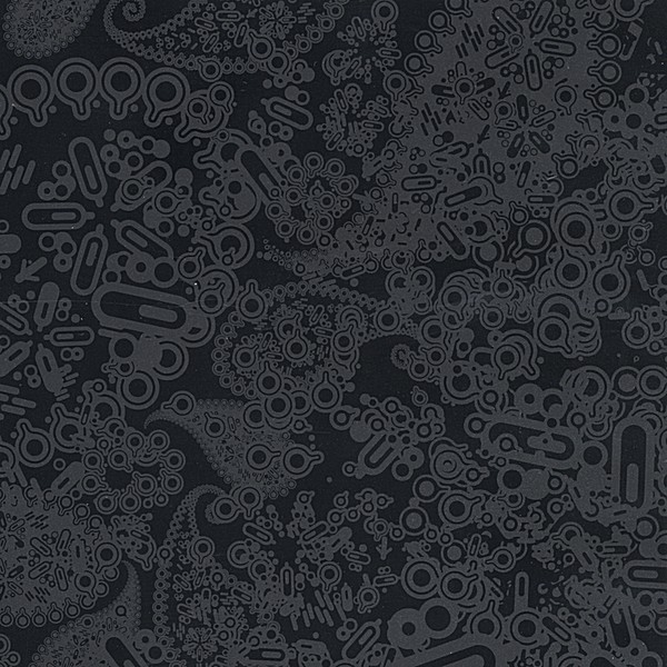 Salmataxia cover