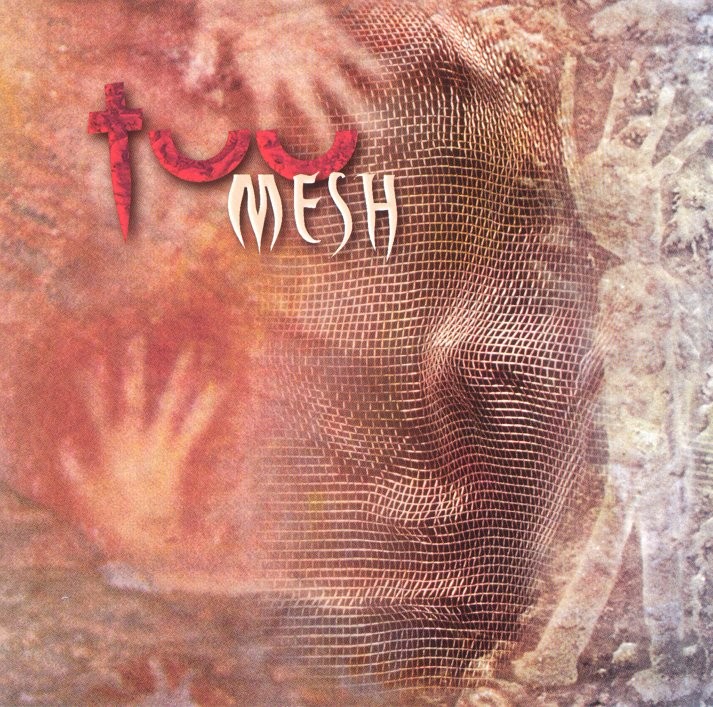 Mesh cover