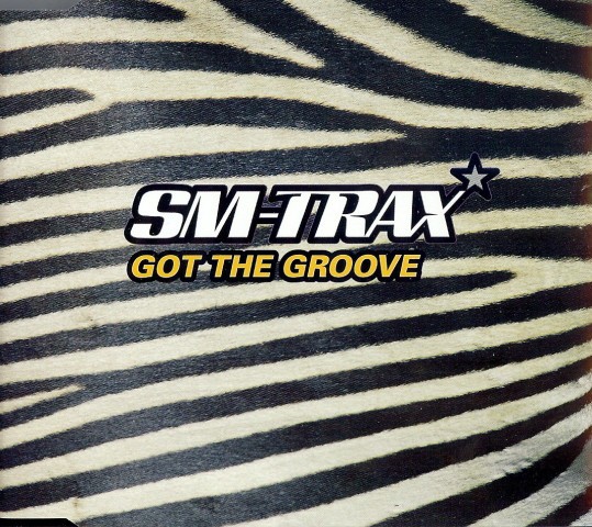 Got The Groove cover