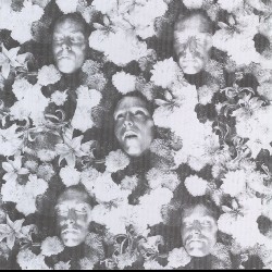 The Lovers cover