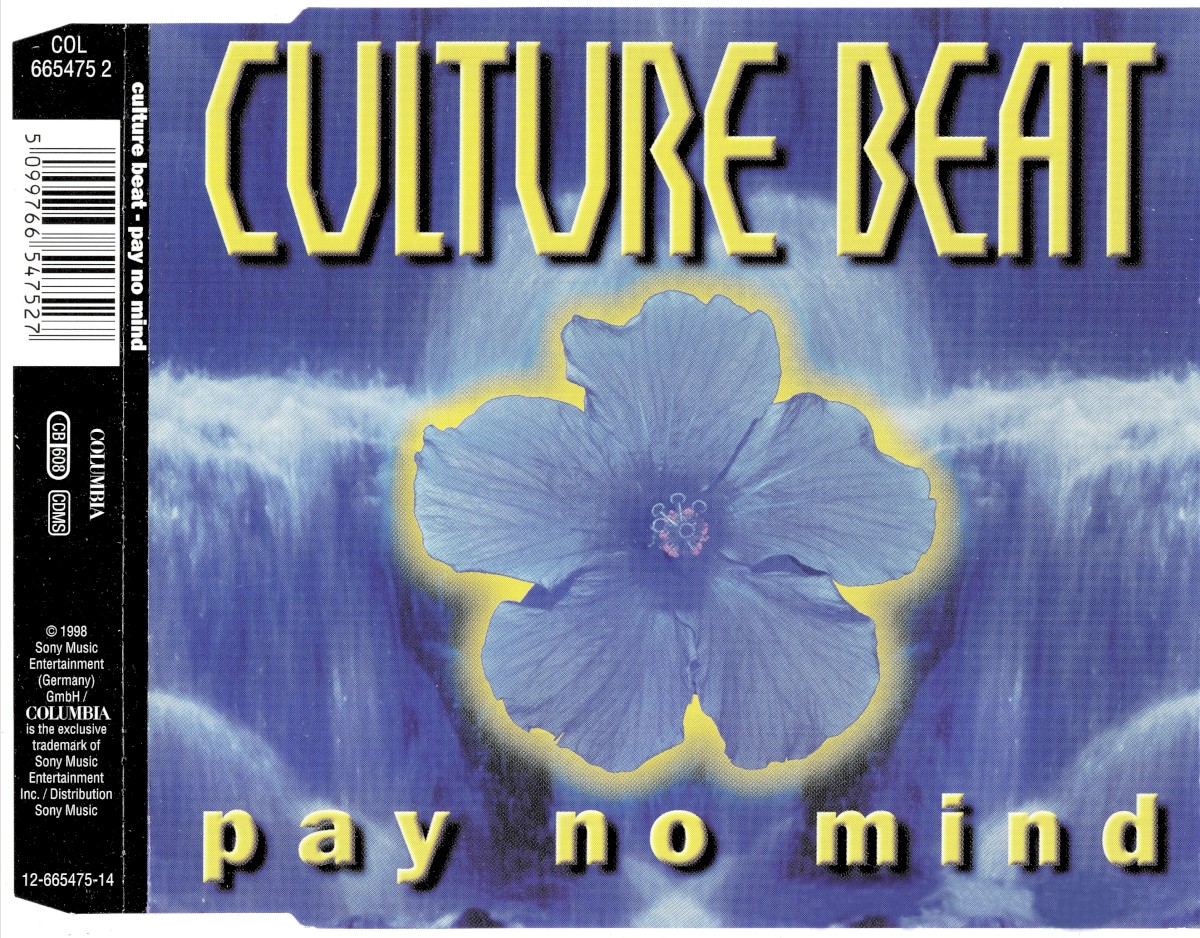 Pay No Mind cover