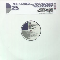 Wav Assassin cover