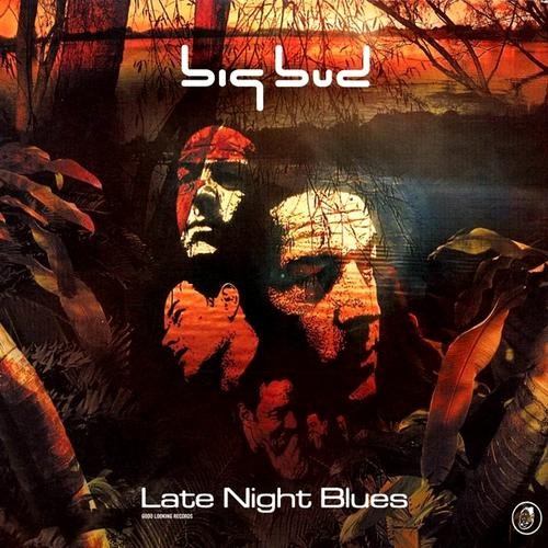 Late Night Blues cover