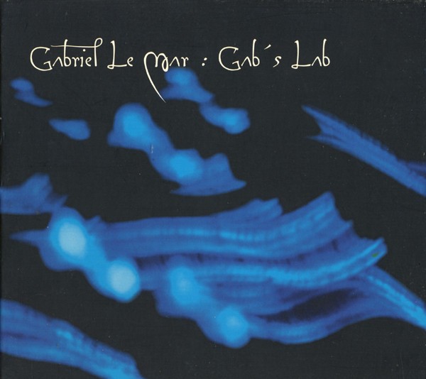 Gab's Lab cover