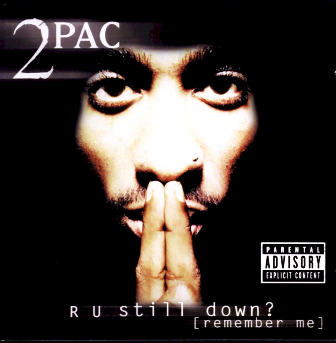 R U Still Down? [Remember Me] cover