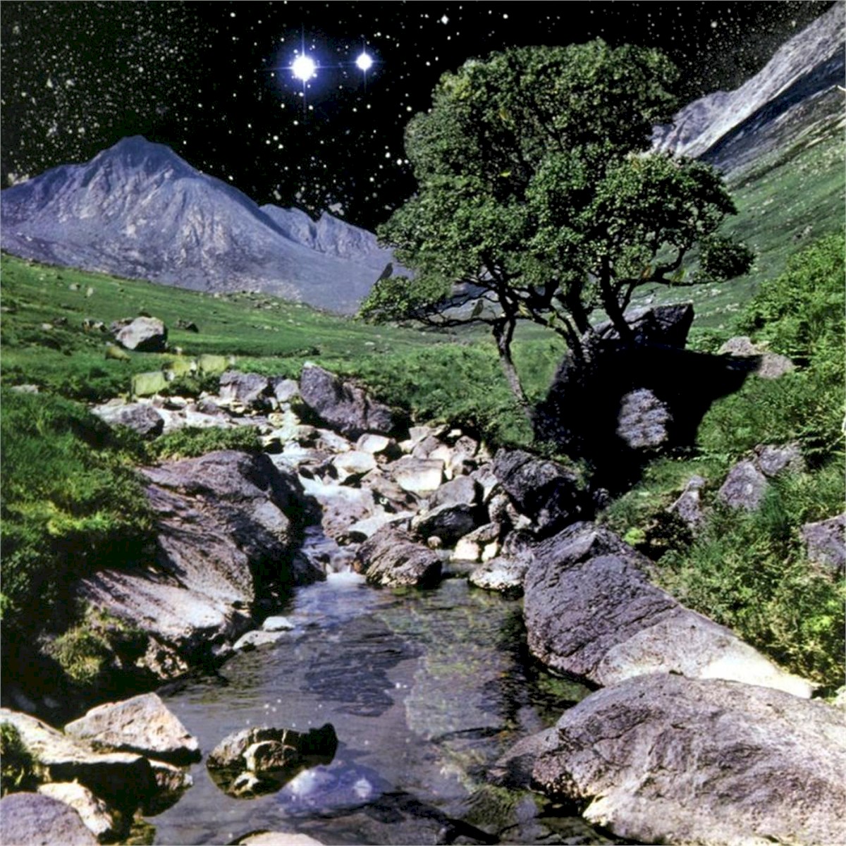 The Beta Band cover