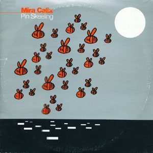 Pin Skeeling cover