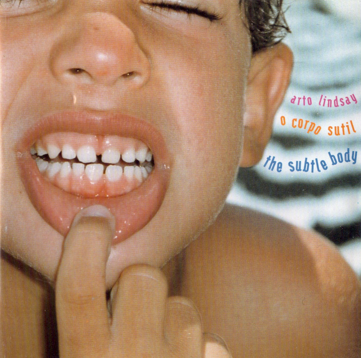 O Corpo Sutil = The Subtle Body cover