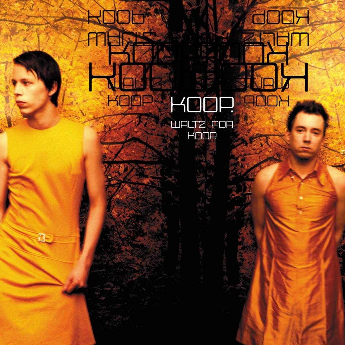 Waltz For Koop cover