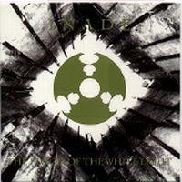 The Flood Of The White Light cover
