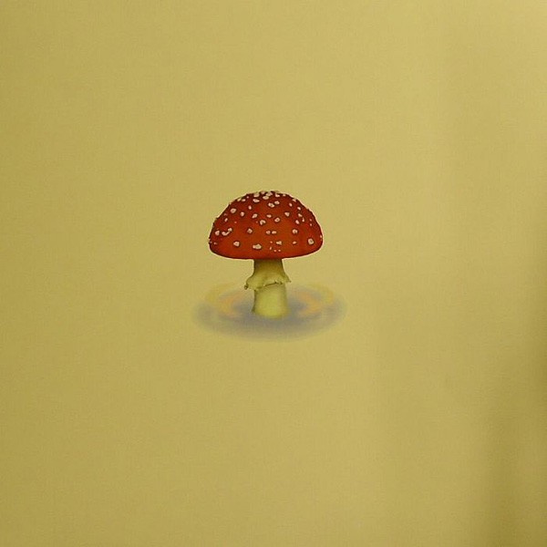 Mushroom Jazz cover