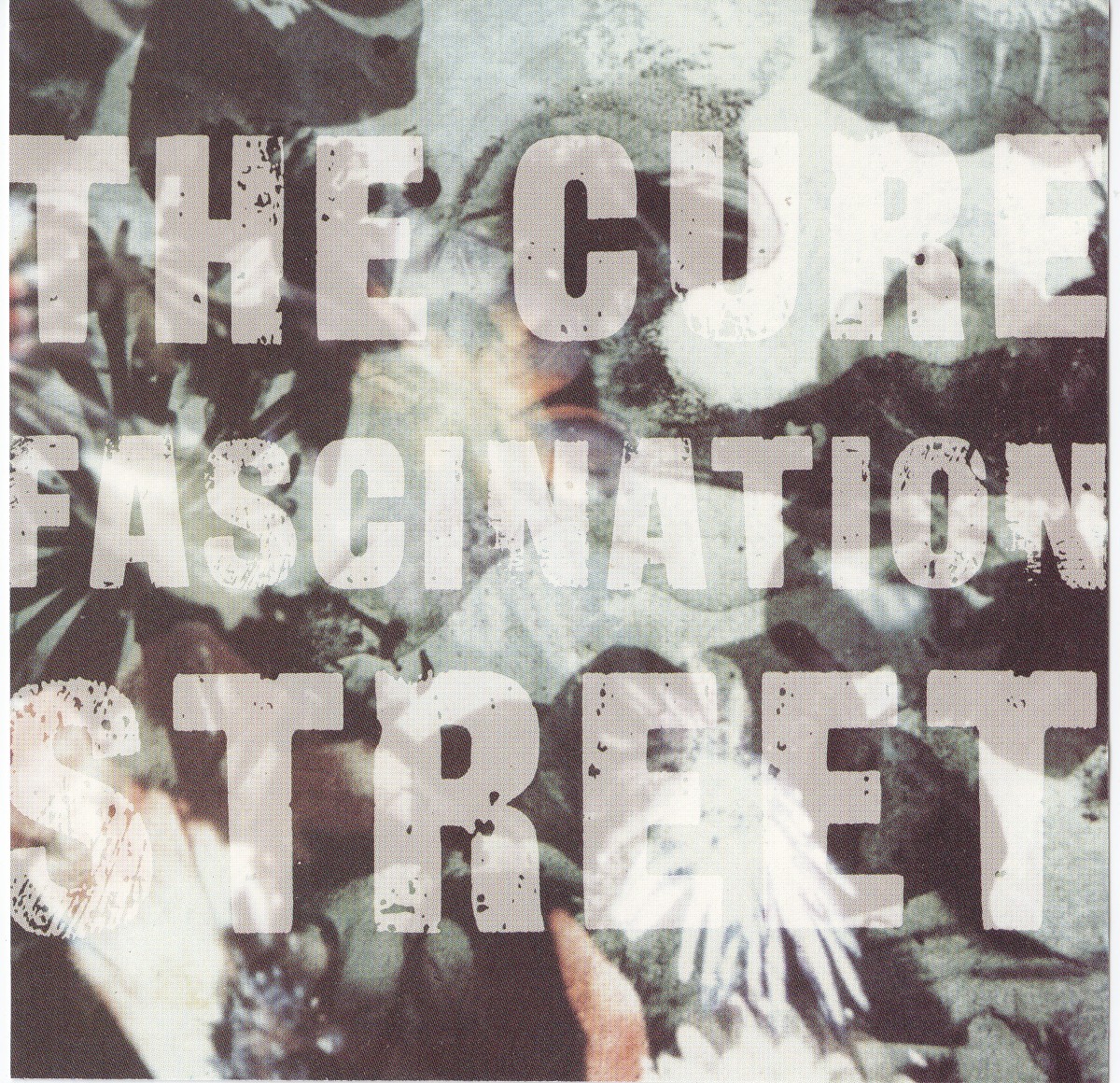Fascination Street cover