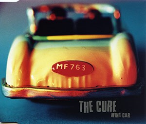 Mint Car cover
