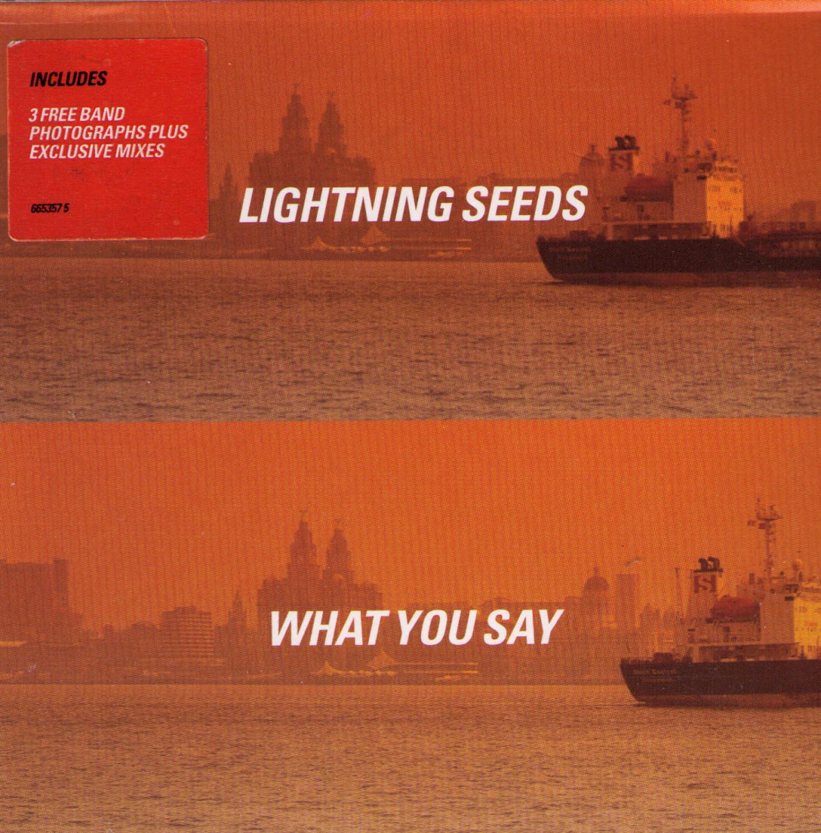 What You Say cover