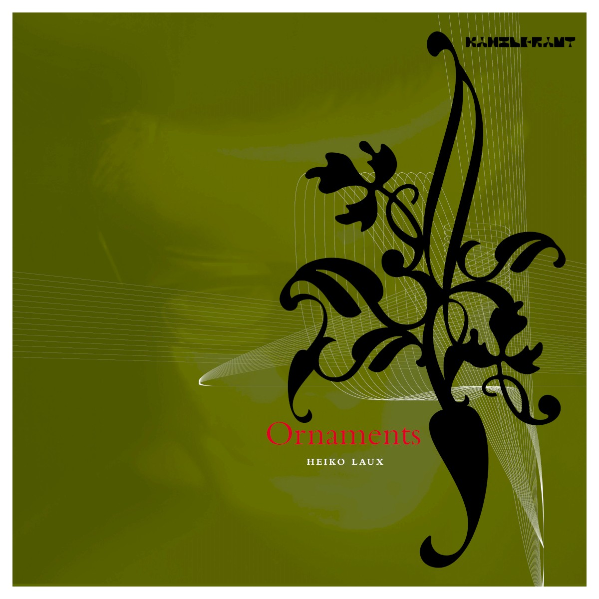 Ornaments cover