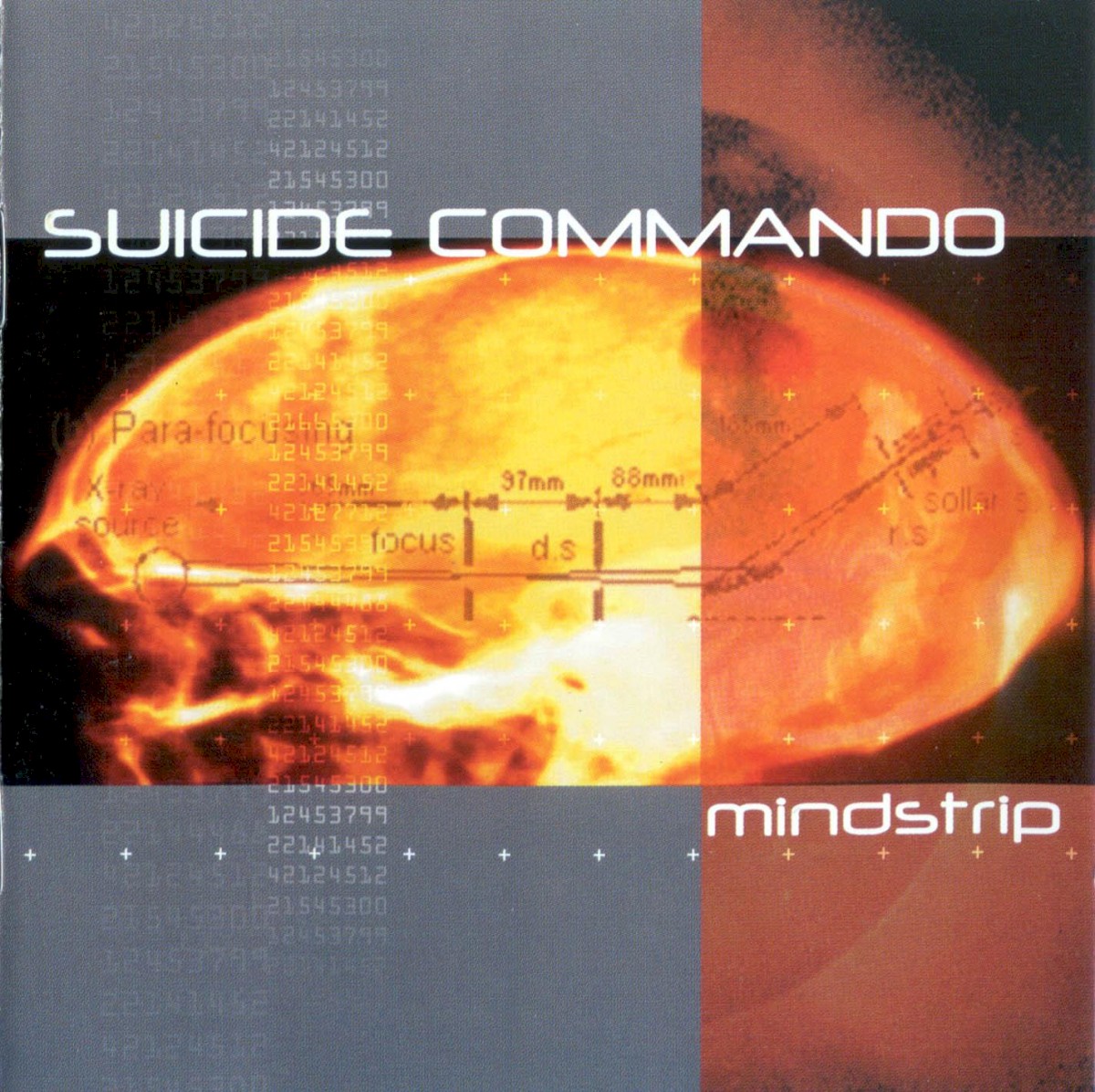 Mindstrip cover
