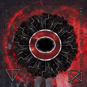 Demonium Of The Earth / Bird Of Oblivion, An Incantation Of Fire cover