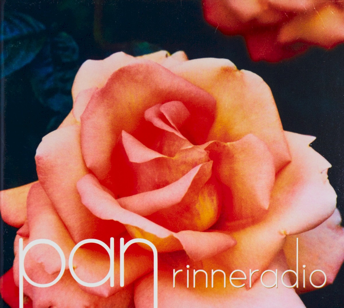 Pan cover