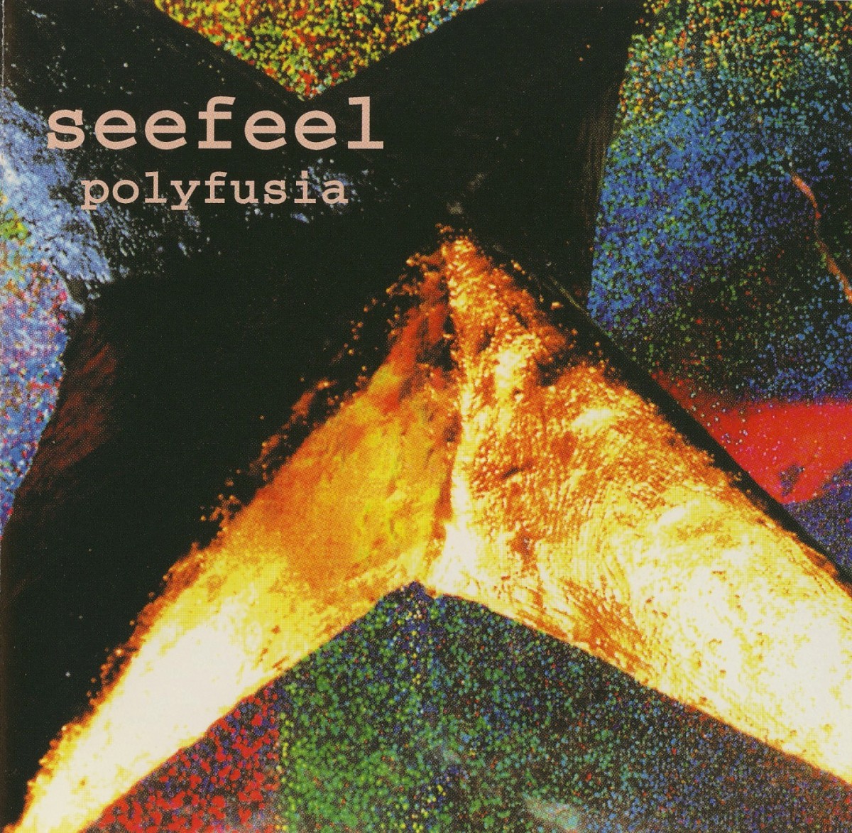 Polyfusia cover