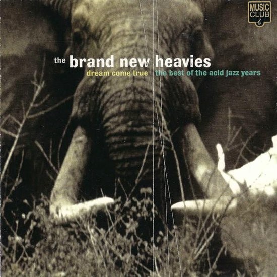 Dream Come True (The Best Of The Acid Jazz Years) cover
