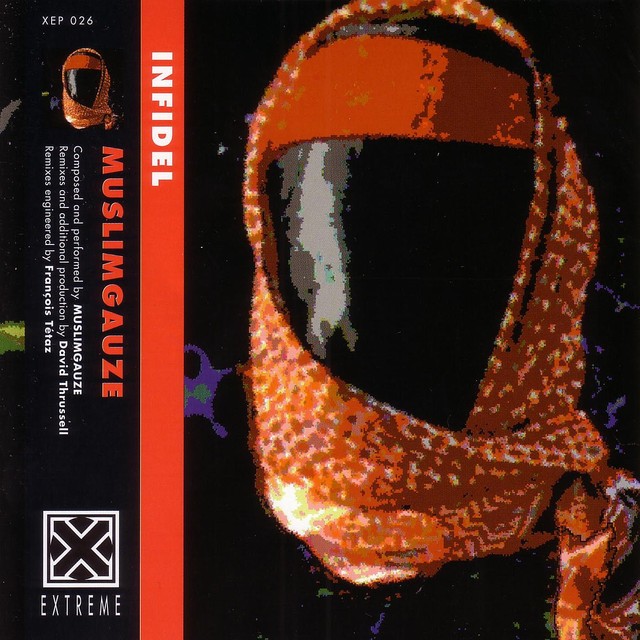 Infidel cover