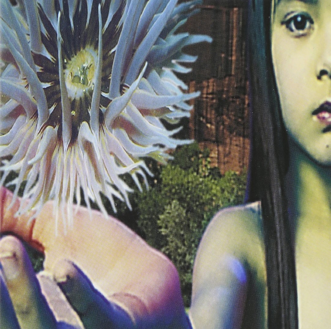 Lifeforms cover