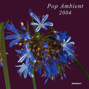 Pop Ambient 2004 cover