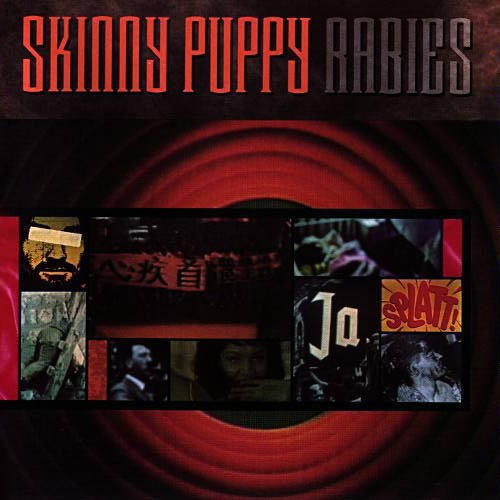 Rabies cover