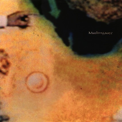 Melt cover