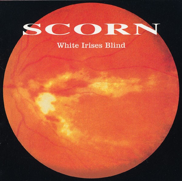 White Irises Blind cover