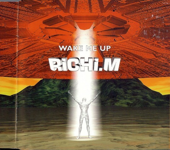 Wake Me Up cover