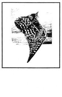 0° North cover