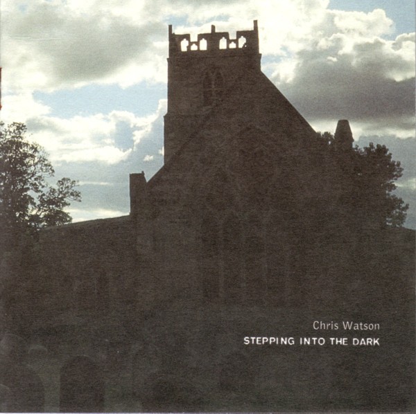 Stepping Into The Dark cover