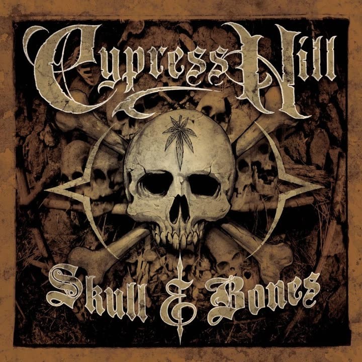Skull & Bones cover