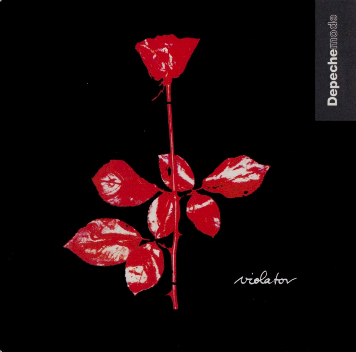 Violator cover