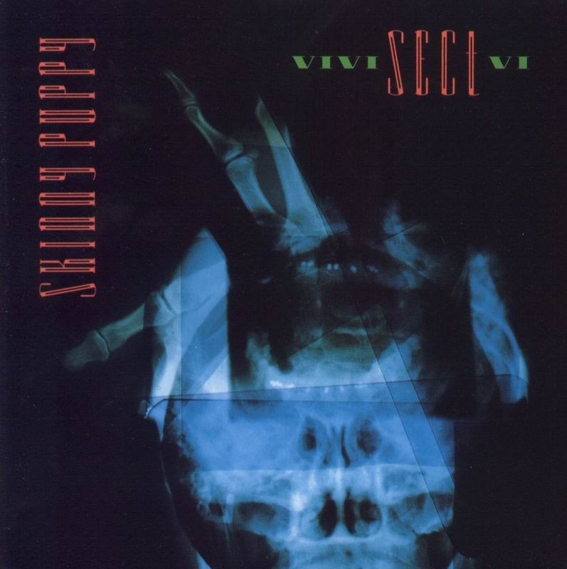 VIVIsectVI cover