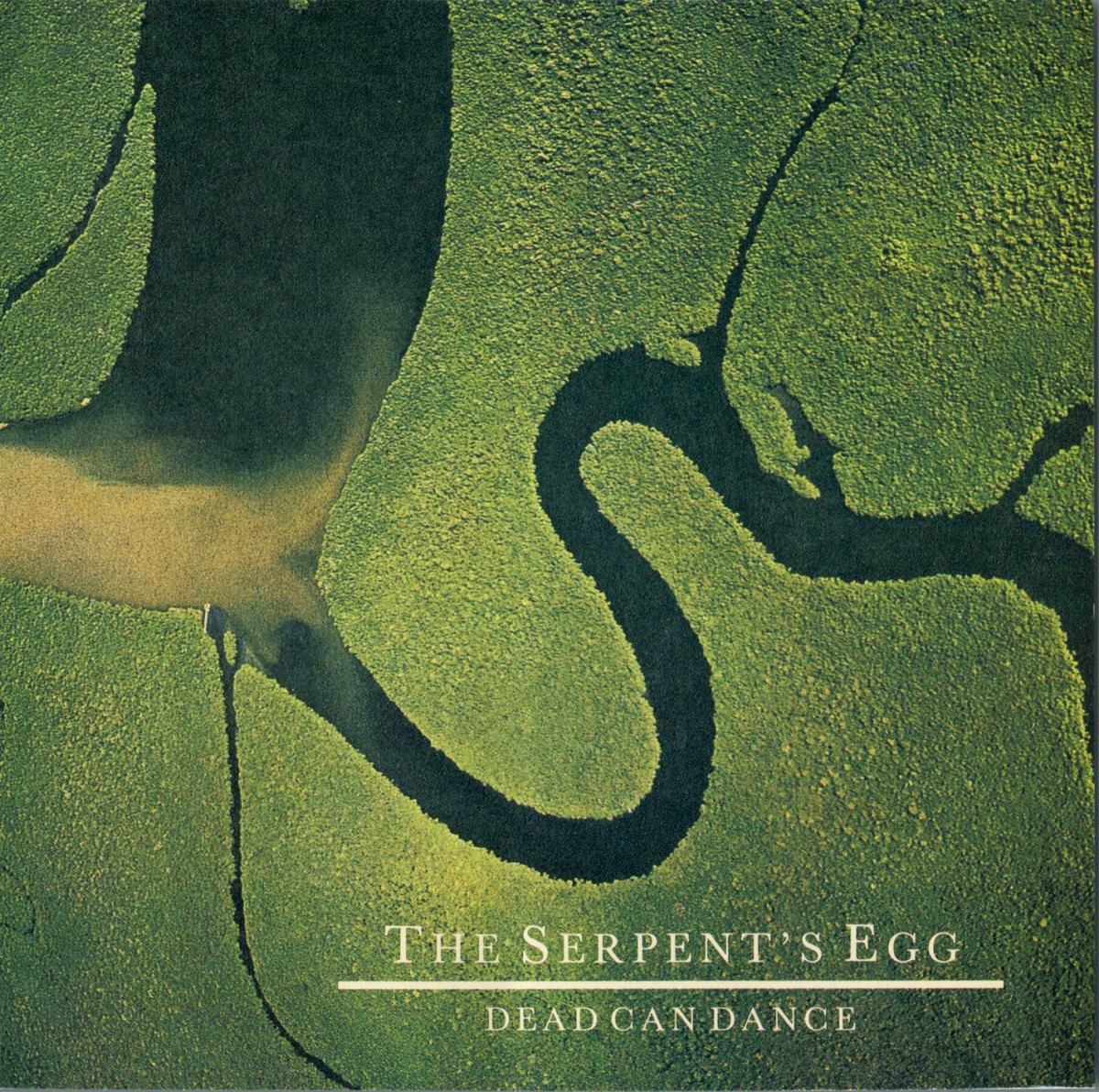 The Serpent's Egg cover