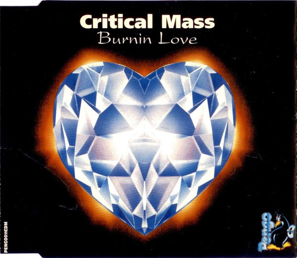 Burnin Love cover