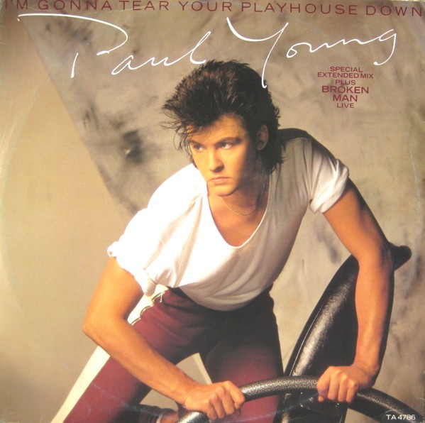 I'm Gonna Tear Your Playhouse Down (Special Extended Mix) cover